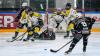 Am Samstag haben die ECDC Memmingen Indians gegen die Mad Dogs Mannheim im Halbfinale der DFEL-Play-Offs zuhause 3:2 n. P. gewonnen. Das Spiel am Sonntag verlor der ECDC Memmingen dagegen mit 2:3 n. V. Damit steht es 1:1 im Modus "Best-of-five". Am kommenden Wochenende findet Spiel drei und vier in Mannheim statt. Anspiel am Samstag ist um 19.45 Uhr, am Sonntag um 12.30 Uhr.