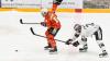 Um die Festigung von Platz 8 und damit das Heimrecht in den Pre-Playoffs ging es Donnerstagabend vor 1.452 Zuschauern in der erdgas schwaben arena, beim Spiel des ESV Kaufbeuren gegen die zweitplatzierten Frankfurter Löwen, die um die Tabellenführung kämpften. Absolut kein leichtes Unterfangen also für Tray Tuomie und sein Team, das dabei auf Stefan Vajs, Markus Schweiger, Dieter Geidl und Tobias Echtler verzichten musste. Die Joker gingen mit allen vier Kontingent Stürmern ins Rennen und ließen Thomas Höneckl deshalb pausieren. Zwischen den Pfosten startete somit Maximilian Meier.
Penalty zum Ausgleich Das hier zwei hochmotivierte Teams aufeinander trafen wurde schnell klar, als sich bereits nach kurzer Zeit Mikko Lehtonen und Bobby Raymond in die Wolle bekamen und dafür beide auf die Strafbank mussten. Bei jeweils vier Feldspielern konnten sich die Joker die erste richtig gute Chance erspielen, als Sami Blomqvist erst kreiste und dann auf Markus Lillich ablegte, der einen Strahl aus dem Handgelenk nur haarscharf am Kasten von Bastian Kucis vorbeisetzte. Es folgte eine sehr unschöne Szene in Minute Fünf, in der Frankfurts Carson McMillan völlig übermotiviert den jungen David Diebolder vor dem Gästetor abräumte und ihn dabei am Kopf traf. Die Aktion blieb bedauerlicherweise unbestraft und Diebolder musste gestützt in die Kabine gebracht werden. Dann wurde wieder Hockey gespielt und Sami Blomqvist setzte in der neunten Minute energisch im Slot nach, doch sein Rückhandabschluss rutschte vorbei am Pfosten. Der erste Treffer der Party war den Löwen vergönnt, als bei angezeigter Strafe der alte Fuchs Adam Mitchell vor das rotgelbe Tor zog, quer auf Kevin Maginot spielte, dieser Maxi Meier keine Abwehrchance ließ und zum 0:1 in der 10 Minute traf. Die Gäste bekamen nun Rückenwind, Kaufbeurens Schlussmann musste gegen Kevin Maginot und Nathan Burns alles auspacken, um einen weiteren Treffer zu verhindern. In der 13. Minute ist Sami Blomqvist vielleicht etwas zu uneigennützig, weil er aus aussichtsreicher Position nicht selbst abzog, sondern nochmals weiter zu Mikko Lehtonen schob, dessen One Timer aus spitzem Winkel von Kucis abgewehrt wurde. Die Joker aber jetzt mit Druck und einem Max Oswald der kurz vor dem Torschuss nur noch unfair gestoppt werden konnte, woraufhin der Schiedsrichter auf Penalty entschied. John Lammer trat an und wie. Ein schöner Move, ein noch schönerer Rückhandlupfer unter die Querlatte und es stand 1:1 in der 13. Minute. Diesen Torestand konnte der ESVK mit viel Mühe und Herz dann auch in die erste Pause bringen.Hart umkämpfte Partie Mit Torschüssen von Davis Vandane im Löwentrikot und Phillip Krauß im Dress der Joker, wurde das Mitteldrittel eröffnet, beide Male waren die Keeper aber schnell genug mit der Beinschiene unten. Die 24. Minute brach an und Tyler Spurgeon verschaffte sich durch einen Doppelpass mit Yannik Burghart ausreichend Platz, um vors Tor durchzubrechen, wo der Kapitän das Hartgummi gezielt zum 2:1 in die Maschen setzte. Die Frankfurter bemühten sich um eine schnelle Antwort und die gaben sie dann auch. Erst setzten sie sich lange im Angriffsdrittel fest und Maxi Meier konnte gegen Nathan Burns stark parieren, aber als sich Brett Breitkreuz die Scheibe hinter seinem Tor eroberte und den anlaufenden Adam Mitchell perfekt bediente, war auch er machtlos und es stand 2:2 in der 27. Minute. Kurz darauf setzte sich Yannik Burghart gut durch und seinen Kollegen Max Oswald in Szene, der plötzlich völlig frei vor Kucis stand, der Abschluss schlug aber zu zentral auf Frankfurts Keeper ein. In der 29. Minute herrschte dann allgemeine Verwirrung auf dem Eis, erst wurde Alex Thiel von der Scheibe am Kopf getroffen und der Schiedsrichter pfiff laut und deutlich ab, was die Gäste anscheinend nicht hörten, weiterspielten, ein Tor schossen und dieses dann auch noch von einem der Schiedsrichter gegeben wurde. Nach einer kurzen Diskussionsrunde wurde der Sachverhalt aber nochmals allen in Ruhe erklärt und das Tor zählte natürlich nicht. Eine Minute später halfen keine Diskussionen mehr, weil eine abgefälschte Scheibe am langen Pfosten auf dem Schläger von Brett Breitkreuz landete und von dort trocken zum 2:3 eingeschoben wurde. Die Löwen spielten nun immer wieder ihre leichte körperliche Überlegenheit aus, übertrieben es dabei aber auch immer wieder mal, wodurch Bobby Raymond sich auf der Strafbank wiederfand. Die Scheibe lief erst gut im Powerplay, doch den Gästen wäre durch McMillan beinahe der Shorthander gelungen, aber Meier war zur Stelle. Die größte Chance vor dem zweiten Pausentee hatten dann noch einmal die Hausherren, als Sami Blomqvist allein vor Bastian Kucis auftauchte, zwei schnelle Bewegungen machte, Kucis damit aber nicht überlisten konnte. Kurz vor der Sirene fing sich dann Carson McMillan noch eine Strafe wegen Spielverzögerung ein.Maximilian Meier hält den Punkt fest Das Schlussdrittel konnten die Joker also in Überzahl beginnen und das nutzten sie eiskalt aus. Alex Thiel kam frei und hart zum Schuss, Kucis ließ die Scheibe nach vorne abprallen, wo sie von Yannik Burghart in Empfang genommen und zum 3:3 in Minute 42 versenkt wurde. Ein sehr unterhaltsames Spiel verlief nun schnell und offen, hin und her. Klare Chancen blieben aber längere Zeit aus. Dylan Wruck haute in der 49. Minute aus der Distanz auf den ESV Kasten, Meier konnte das Spielgerät aber unter sich begraben. Auch Bobby Raymond scheiterte nur wenig später, am souveränen Goalie der Joker. Dann durfte der ESVK wieder ins Powerplay, weil Constantin Vogt nach einem Foul an Koziol auf die Strafbank geschickt wurde. Die Rotgelben bauten dabei mächtig Druck auf das Gäste Tor auf, doch immer brachten Kucis und seine Verteidiger, im letzten Moment einen Schläger dazwischen. Direkt im Anschluss drehte sich das Blatt und die Löwen kamen in Überzahl, nachdem sich Markus Lillich eine zweiminütige Strafe einfing. Frankfurt wollte nun den Deckel drauf machen, hatte die Rechnung aber ohne Maximilian Meier gemacht, der zwei unglaublich starke Saves zeigte und das Unentschieden festhielt. Mikko Lehtonen dann kurz vor Schuss noch mit einem verdeckten Schuss, der nur knapp über den Querbalken flog und auch die Löwen mit letzten wilden Anläufen, es blieb aber beim 3:3, womit es in die Overtime ging.
[video]https://www.youtube.com/watch?v=R7Tdc66jJbg[/video]Wohlverdienter Punkt Auch hier ging es sehenswert und spannend weiter, die Joker durch Philipp Krauß mit einem Pfostenschuss und viel Pech in dieser Szene, die den direkten Zwei auf Null Konter einleitete, der erneut bärenstark von Meier entschärft wurde. Man hätte den Rotgelben nach diesem Fight den Zusatzpunkt natürlich mehr als gegönnt, doch den strichen letztendlich doch die Gäste ein, als Adam Mitchell einen weiteren Alleingang zum 3:4 Endstand einschieben konnte. Die Joker konnte erhobenen Hauptes und mit einem wohlverdienten Punkt in den Feierabend fahren.

Für den ESVK steht nun fest, dass es in den Pre-Playoffs gegen den EHC Freiburg geht. Sollten die Joker ihr letztes Spiel in Selb in der regulären Spielzeit gewinnen, würden sich die Kaufbeurer damit unabhänging vom Ergebnis der Freiburger am letzten Spieltag sogar noch das Heimrecht sichern.
[video]https://www.youtube.com/watch?v=HRQB9aubzjE[/video]