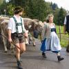Nach einem verregneten und teil stürmischem Wochenende kehrten am Montag die letzten Allgäuer Älpler mit ihren Tieren ins Tal zurück - und das sogar bei gelegentlichem Sonnenschein. Der Viehscheid in Memhölz ist mit nur etwa 40 Tieren eine der kleinsten Veranstaltungen seiner Art im Allgäu - trotzdem sind hier Jahr für Jahr viele Besucher dabei. Der Grund ist klar: Der Viehscheid in Memhölz gehört zu den familiärsten in der ganzen Region. 
Viehscheid Memhölz mit Kranzrind
Alle Rinder kehren heim: Die gute Nachricht vom Viehscheid in Memhölz - auch heuer wurde die Herde wieder von einem Kranzrind angeführt. Ein Zeichen für einen unfallfreien Bergsommer.