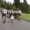 Nach einem verregneten und teil stürmischem Wochenende kehrten am Montag die letzten Allgäuer Älpler mit ihren Tieren ins Tal zurück - und das sogar bei gelegentlichem Sonnenschein. Der Viehscheid in Memhölz ist mit nur etwa 40 Tieren eine der kleinsten Veranstaltungen seiner Art im Allgäu - trotzdem sind hier Jahr für Jahr viele Besucher dabei. Der Grund ist klar: Der Viehscheid in Memhölz gehört zu den familiärsten in der ganzen Region. 
Viehscheid Memhölz mit Kranzrind
Alle Rinder kehren heim: Die gute Nachricht vom Viehscheid in Memhölz - auch heuer wurde die Herde wieder von einem Kranzrind angeführt. Ein Zeichen für einen unfallfreien Bergsommer.