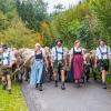 Von der 1.280 Meter hoch gelegenen Alpe Altstädter Hof bei Sonthofen kamen am Montag die Schumpen ins Tal. Insgesamt 130 Stück Jungvieh traten zusammen mit ihren Hirten den Alpabtrieb an. Neben dem Kranzrind waren einige weitere Tiere mit Kränzen geschmückt.