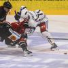 Das erste Heimspiel der neuen Saison ging für die Indians komplett in die Hose. Gegen die Blue Devils Weiden setzte es nach 60 Minuten ein deutliches 1:6. Exakt 2208 Zuschauer sahen die Partie. 
Schon vor dem Spiel wurden die Fans der Indians erstmals auf die Probe gestellt. Der Einlass, bei strömendem Regen, verzögerte sich erheblich und sorgte schon vor Spielbeginn für lange Gesichter.
Verzögerung beim Einlass Nachdem am Vortagdas Spiel der Bundesliga-Frauen aufgrund zu hoher Kohlenmonoxidwerte abgebrochen werden musste, war die Memminger Eishalle unter stetiger Beobachtung. Ein kurzzeitiger Verdachtsmoment sorgte dann für einen vorsorglichen Alarm, der eine erhebliche Verzögerung im Ablauf zur Folge hatte. Nachdem die Fehlerquelle durch die rasch arbeitenden Einsatzkräfte vor Ort identifiziert und behoben wurde, konnte das Spiel dann um kurz nach halb sieben starten.Blue Devils Weiden haben die Indians voll im GriffBereits im ersten Drittel stellten die Gäste aus Oberpfalz die Weichen auf Sieg. Gedanklich war das Team von Sebastian Buchwieser den Indianern immer einen Schritt voraus. So stand es nach den ersten zwanzig Minuten 3:0 für die Gäste, die ihren Matchplan konsequent verfolgten. Robert Hechtl, Martin Heinisch und Luca Gläser trafen für die Blau-Weißen.

Im zweiten Drittel war es erneut der EV Weiden, der mit einem weiteren Treffer auf und davon zog. Ex-Indianer Fabian Voit netzte abgezockt zum 4:0 ein. Die Indians verkürzten in der 28.Minute zwar durch Jaro Hafenrichter auf 1:4, aber für mehr reichte es nicht. Zu harmlos gestaltete sich das Spiel auf Seiten der Indianer, um kompakt stehenden Blue Devils gefährlich zu werden.

Auch im letzten Drittel fehlte es an Kreativität. Memmingen versuchte anzulaufen, konnte aber keine Durchschlagskraft entfachen. So war es erneut der EVW, der die Unordnung in den Indianer-Reihen eiskalt bestrafte. Zuerst erhöhte Fabian Voit auf 5:1, ehe Luca Gläser mit dem 6:1 den Schlusspunkt in der Begegnung setzte.