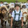 Am Samstag sind auch in Obermaiselstein die Älpler, Hirten und ihre Tiere ins Tal zurückgekehrt. Insgesamt 1.400 Rinder kehrten von insgesamt zwölf Alpen zurück. Damit ist auch dort der Bergsommer beendet. Anders als in vielen anderen Ortschaften gab es in Obermaiselstein mehrere dezentrale Scheidplätze. Einen Hauptscheidplatz gab es nicht. Auch fand der Viehscheid in Obermaiselstein ohne Zeltbetrieb und Fest statt.