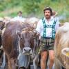 Am Samstag sind auch in Obermaiselstein die Älpler, Hirten und ihre Tiere ins Tal zurückgekehrt. Insgesamt 1.400 Rinder kehrten von insgesamt zwölf Alpen zurück. Damit ist auch dort der Bergsommer beendet. Anders als in vielen anderen Ortschaften gab es in Obermaiselstein mehrere dezentrale Scheidplätze. Einen Hauptscheidplatz gab es nicht. Auch fand der Viehscheid in Obermaiselstein ohne Zeltbetrieb und Fest statt.