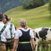 Am Samstag sind auch in Obermaiselstein die Älpler, Hirten und ihre Tiere ins Tal zurückgekehrt. Insgesamt 1.400 Rinder kehrten von insgesamt zwölf Alpen zurück. Damit ist auch dort der Bergsommer beendet. Anders als in vielen anderen Ortschaften gab es in Obermaiselstein mehrere dezentrale Scheidplätze. Einen Hauptscheidplatz gab es nicht. Auch fand der Viehscheid in Obermaiselstein ohne Zeltbetrieb und Fest statt.