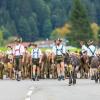 Am Samstag sind auch in Obermaiselstein die Älpler, Hirten und ihre Tiere ins Tal zurückgekehrt. Insgesamt 1.400 Rinder kehrten von insgesamt zwölf Alpen zurück. Damit ist auch dort der Bergsommer beendet. Anders als in vielen anderen Ortschaften gab es in Obermaiselstein mehrere dezentrale Scheidplätze. Einen Hauptscheidplatz gab es nicht. Auch fand der Viehscheid in Obermaiselstein ohne Zeltbetrieb und Fest statt.