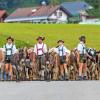 Am Samstag sind auch in Obermaiselstein die Älpler, Hirten und ihre Tiere ins Tal zurückgekehrt. Insgesamt 1.400 Rinder kehrten von insgesamt zwölf Alpen zurück. Damit ist auch dort der Bergsommer beendet. Anders als in vielen anderen Ortschaften gab es in Obermaiselstein mehrere dezentrale Scheidplätze. Einen Hauptscheidplatz gab es nicht. Auch fand der Viehscheid in Obermaiselstein ohne Zeltbetrieb und Fest statt.