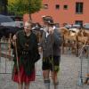 Am Samstag fand der Viehscheid in Immenstadt statt. Ab 09:00 Uhr zogen 10 Alpe mit über 800 Tieren durch die Stadt auf den Viehscheidhof. Leider spielte das Wetter nicht mit. Die ganze Zeit war es bewölkt und immer wieder trieb ein Regenschauer die zahlreichen Schaulustigen schutzsuchend unter die Regenschirme. Glücklicherweise gab es genug überdachte Verkaufsstände und ein Festzelt, dass dank des Wetters gut besucht war.