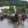 Eigentlich sollte es in Missen dieses Jahr keinen Viehscheid geben. Nach der ursprünglichen Absage kam es dann aber zur Kehrtwende. Örtliche Vereine hatten dem Viehscheidverein ihre Unterstützung zugesichert, um die Veranstaltung gemeinsam stemmen zu können. Etwa 350 Tiere sind am Samstag nun zum Scheidplatz in Missen getrieben worden. Später sorgte die Musikkapelle Missen-Wilhams für musikalische Unterhaltung im Feststadel.