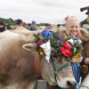 Am Montagvormittag, den 19. September 2022, fand auch in Buching, einem Ortsteil der Gemeinde Halblech im Ostallgäu, der Viehscheid statt. 30 Rinder, davon alle mit einem Kopfschmuck, kamen von den Alpen ins Tal und zum Marktplatz zwischen Buching und Bayerniederhofen. Dort fand direkt neben dem Festzelt der Viehhandel statt. Buching ist dabei der letzte Viehscheid im Allgäu, bei dem ein solcher Handel noch mit einem Handschlag vereinbart werden kann. Zusammen mit den Rindern kamen auch die Musikkapelle Alpengruß Buching, die dann im Festzelt aufspielten, und der Festwagen des Allgäuer Brauhauses, der von sechs Pferden gezogen wurde, zum Markplatz.