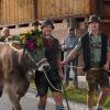 Am Montagvormittag, den 19. September 2022, fand auch in Buching, einem Ortsteil der Gemeinde Halblech im Ostallgäu, der Viehscheid statt. 30 Rinder, davon alle mit einem Kopfschmuck, kamen von den Alpen ins Tal und zum Marktplatz zwischen Buching und Bayerniederhofen. Dort fand direkt neben dem Festzelt der Viehhandel statt. Buching ist dabei der letzte Viehscheid im Allgäu, bei dem ein solcher Handel noch mit einem Handschlag vereinbart werden kann. Zusammen mit den Rindern kamen auch die Musikkapelle Alpengruß Buching, die dann im Festzelt aufspielten, und der Festwagen des Allgäuer Brauhauses, der von sechs Pferden gezogen wurde, zum Markplatz.