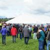 Am Montagvormittag, den 19. September 2022, fand auch in Buching, einem Ortsteil der Gemeinde Halblech im Ostallgäu, der Viehscheid statt. 30 Rinder, davon alle mit einem Kopfschmuck, kamen von den Alpen ins Tal und zum Marktplatz zwischen Buching und Bayerniederhofen. Dort fand direkt neben dem Festzelt der Viehhandel statt. Buching ist dabei der letzte Viehscheid im Allgäu, bei dem ein solcher Handel noch mit einem Handschlag vereinbart werden kann. Zusammen mit den Rindern kamen auch die Musikkapelle Alpengruß Buching, die dann im Festzelt aufspielten, und der Festwagen des Allgäuer Brauhauses, der von sechs Pferden gezogen wurde, zum Markplatz.