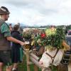 Am Montagvormittag, den 19. September 2022, fand auch in Buching, einem Ortsteil der Gemeinde Halblech im Ostallgäu, der Viehscheid statt. 30 Rinder, davon alle mit einem Kopfschmuck, kamen von den Alpen ins Tal und zum Marktplatz zwischen Buching und Bayerniederhofen. Dort fand direkt neben dem Festzelt der Viehhandel statt. Buching ist dabei der letzte Viehscheid im Allgäu, bei dem ein solcher Handel noch mit einem Handschlag vereinbart werden kann. Zusammen mit den Rindern kamen auch die Musikkapelle Alpengruß Buching, die dann im Festzelt aufspielten, und der Festwagen des Allgäuer Brauhauses, der von sechs Pferden gezogen wurde, zum Markplatz.
