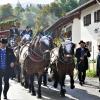 Am Montagvormittag, den 19. September 2022, fand auch in Buching, einem Ortsteil der Gemeinde Halblech im Ostallgäu, der Viehscheid statt. 30 Rinder, davon alle mit einem Kopfschmuck, kamen von den Alpen ins Tal und zum Marktplatz zwischen Buching und Bayerniederhofen. Dort fand direkt neben dem Festzelt der Viehhandel statt. Buching ist dabei der letzte Viehscheid im Allgäu, bei dem ein solcher Handel noch mit einem Handschlag vereinbart werden kann. Zusammen mit den Rindern kamen auch die Musikkapelle Alpengruß Buching, die dann im Festzelt aufspielten, und der Festwagen des Allgäuer Brauhauses, der von sechs Pferden gezogen wurde, zum Markplatz.