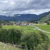 Am Sonntag hat in Schattwald im Tannheimer Tal ein Viehscheid stattgefunden.