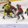 In einem weiteren Eishockey Freundschaftsspiel gewann der ECDC Memmingen Indians gegen die Tölzer Löwen mit 5:4.