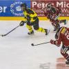 In einem weiteren Eishockey Freundschaftsspiel gewann der ECDC Memmingen Indians gegen die Tölzer Löwen mit 5:4.