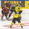 In einem weiteren Eishockey Freundschaftsspiel gewann der ECDC Memmingen Indians gegen die Tölzer Löwen mit 5:4.