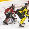 In einem weiteren Eishockey Freundschaftsspiel gewann der ECDC Memmingen Indians gegen die Tölzer Löwen mit 5:4.