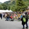 Beim Viehscheid in Nesselwängle sind nicht nur Kühe von der Alpe getrieben worden. Auch Schwarznasenschafe und Ziegen waren dabei. Die etwa 120 Tiere wurden gegen 14 Uhr an hunderten von Zuschauern durch das Dorf geführt.