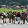 Am Freitag war in Balderschwang wieder Viehscheid. Sechs Alpen mit knapp 120 Tieren wurden ins Tal getrieben. Für die Zuschauer war auch abseits der Koppel einiges geboten. Auf einem Markt entlang der Hauptstraße konnte man Kleidung, Taschen und Kunsthandwerk bewundern. Auch für das leibliche Wohl war gesorgt. Am Feuerwehrhaus gab es neben Kaffee und Kuchen natürlich auch Bier, Brezen und sonstige Spezialitäten.