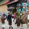 Am Freitag war in Balderschwang wieder Viehscheid. Sechs Alpen mit knapp 120 Tieren wurden ins Tal getrieben. Für die Zuschauer war auch abseits der Koppel einiges geboten. Auf einem Markt entlang der Hauptstraße konnte man Kleidung, Taschen und Kunsthandwerk bewundern. Auch für das leibliche Wohl war gesorgt. Am Feuerwehrhaus gab es neben Kaffee und Kuchen natürlich auch Bier, Brezen und sonstige Spezialitäten.
