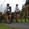 Rund 60 Rinder sind am Donnerstagvormittag von der Buchel Alpe im Oberallgäu zurück ins Tal gekommen. Trotz Regen verfolgten einige hundert Zuschauer den kleinen und dafür familiären Viehscheid in Unterjoch.