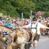 Am Freitagvormittag war auch Nesselwang mit dem Viehscheid an der Reihe. 115 Schumpen zogen vom Waldfestplatz, die Liftstraße hinunter bis zum Feuerwehrhaus. Entlang der ganzen Strecke wurden die Tiere dabei von vielen Zuschauern beobachtet. Am Nachmittag spielt dann die Harmoniemusik Nesselwang im Festzelt auf und auch die traditionelle Schellenübergabe findet dann statt.