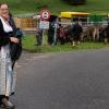 Der Viehscheid in Pfronten Röfleuten konnte in diesem Jahr wieder im gewohnten Rahmen stattfinden. Mit einem prächtig geschmücktem Kranzrind führte Hirte Florian Mörz die Herde an. Abgetrieben wurden die Schumpen vom Röfleuter Berg. Viele Helfer und Treiber waren nötig, um die Tiere sicher ins Tal und auf den Scheidplatz zu bringen.