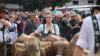 Gut besucht war auch dieses Jahr wieder der große Viehscheid in Thalkirchdorf. 18 Alpen kamen mit insgesamt 673 Rindern im Viertelstundentakt ins Tal zurück und wurden dort von zahlreichen Zuschauern begrüßt. So gut wie jede Alpe hatte ein Kranzrind, nur bei wenigen Alpen gab es dieses Jahr keine führende Kranzkuh. 
[video]https://www.youtube.com/watch?v=XkjBdIRFKWQ[/video]