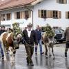 Am Samstag fand auch in Eisenberg ein Viehscheid statt. Obwohl es bis kurz vor Beginn des Viehscheids stark regnete, waren einige Besucher schon um 09:30 Uhr vor Orte. Neben Einheimischen waren auch Feriengäste unter den Zuschauern.