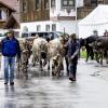 Am Samstag fand auch in Eisenberg ein Viehscheid statt. Obwohl es bis kurz vor Beginn des Viehscheids stark regnete, waren einige Besucher schon um 09:30 Uhr vor Orte. Neben Einheimischen waren auch Feriengäste unter den Zuschauern.