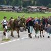 Am Freitag war in Balderschwang wieder Viehscheid. Sechs Alpen mit knapp 120 Tieren wurden ins Tal getrieben. Für die Zuschauer war auch abseits der Koppel einiges geboten. Auf einem Markt entlang der Hauptstraße konnte man Kleidung, Taschen und Kunsthandwerk bewundern. Auch für das leibliche Wohl war gesorgt. Am Feuerwehrhaus gab es neben Kaffee und Kuchen natürlich auch Bier, Brezen und sonstige Spezialitäten.