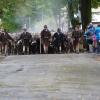 Am Samstag fand der Viehscheid in Immenstadt statt. Ab 09:00 Uhr zogen 10 Alpe mit über 800 Tieren durch die Stadt auf den Viehscheidhof. Leider spielte das Wetter nicht mit. Die ganze Zeit war es bewölkt und immer wieder trieb ein Regenschauer die zahlreichen Schaulustigen schutzsuchend unter die Regenschirme. Glücklicherweise gab es genug überdachte Verkaufsstände und ein Festzelt, dass dank des Wetters gut besucht war.