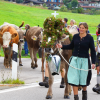 Am Freitag war in Balderschwang wieder Viehscheid. Sechs Alpen mit knapp 120 Tieren wurden ins Tal getrieben. Für die Zuschauer war auch abseits der Koppel einiges geboten. Auf einem Markt entlang der Hauptstraße konnte man Kleidung, Taschen und Kunsthandwerk bewundern. Auch für das leibliche Wohl war gesorgt. Am Feuerwehrhaus gab es neben Kaffee und Kuchen natürlich auch Bier, Brezen und sonstige Spezialitäten.