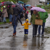 Am Samstag fand der Viehscheid in Immenstadt statt. Ab 09:00 Uhr zogen 10 Alpe mit über 800 Tieren durch die Stadt auf den Viehscheidhof. Leider spielte das Wetter nicht mit. Die ganze Zeit war es bewölkt und immer wieder trieb ein Regenschauer die zahlreichen Schaulustigen schutzsuchend unter die Regenschirme. Glücklicherweise gab es genug überdachte Verkaufsstände und ein Festzelt, dass dank des Wetters gut besucht war.