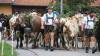Gut besucht war auch dieses Jahr wieder der große Viehscheid in Thalkirchdorf. 18 Alpen kamen mit insgesamt 673 Rindern im Viertelstundentakt ins Tal zurück und wurden dort von zahlreichen Zuschauern begrüßt. So gut wie jede Alpe hatte ein Kranzrind, nur bei wenigen Alpen gab es dieses Jahr keine führende Kranzkuh. 
[video]https://www.youtube.com/watch?v=XkjBdIRFKWQ[/video]