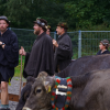 Am Samstag fand der Viehscheid in Immenstadt statt. Ab 09:00 Uhr zogen 10 Alpe mit über 800 Tieren durch die Stadt auf den Viehscheidhof. Leider spielte das Wetter nicht mit. Die ganze Zeit war es bewölkt und immer wieder trieb ein Regenschauer die zahlreichen Schaulustigen schutzsuchend unter die Regenschirme. Glücklicherweise gab es genug überdachte Verkaufsstände und ein Festzelt, dass dank des Wetters gut besucht war.