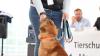 Der Tag der offenen Tür am vergangenen Sonntag im Tierheim Memmingen war ein voller Erfolg. Neben einer WAU-WOW-Schau, der Vorführung von Hunden aus dem Tierheim und einer Vorführung der BRK Rettungshundestaffel, hatten die zahlreichen Besucher auch die Möglichkeit sich einen Einblick in den Alltag der Tierpfleger zu verschaffen. Um die Teilnehmer der WAU-WOW-Schau zu bewerten, waren unter anderem Landrat Alex Eder, Oberbürgermeister Manfred Schilder und der Leiter der Polizeiinspektion Memmingen Joachim Huber in der Jury. 
﻿Finanzierung durch Spenden Das 1970 erbaute Tierheim wird nur durch Spenden, Mitgliedsbeiträgen und Pauschalzahlungen von Stadt und Gemeinden finanziert. Momentan sind im Memminger Tierheim rund 230 Tiere untergebracht, ein Großteil davon sind Katzen. Neben den üblichen Haustieren wie Hunden, Katzen, Mäusen und Vögeln, waren im Tierheim auch schon ein Krokodil, ein Nasenbär und eine Schwarze Witwe zu Gast.