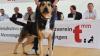 Der Tag der offenen Tür am vergangenen Sonntag im Tierheim Memmingen war ein voller Erfolg. Neben einer WAU-WOW-Schau, der Vorführung von Hunden aus dem Tierheim und einer Vorführung der BRK Rettungshundestaffel, hatten die zahlreichen Besucher auch die Möglichkeit sich einen Einblick in den Alltag der Tierpfleger zu verschaffen. Um die Teilnehmer der WAU-WOW-Schau zu bewerten, waren unter anderem Landrat Alex Eder, Oberbürgermeister Manfred Schilder und der Leiter der Polizeiinspektion Memmingen Joachim Huber in der Jury. 
﻿Finanzierung durch Spenden Das 1970 erbaute Tierheim wird nur durch Spenden, Mitgliedsbeiträgen und Pauschalzahlungen von Stadt und Gemeinden finanziert. Momentan sind im Memminger Tierheim rund 230 Tiere untergebracht, ein Großteil davon sind Katzen. Neben den üblichen Haustieren wie Hunden, Katzen, Mäusen und Vögeln, waren im Tierheim auch schon ein Krokodil, ein Nasenbär und eine Schwarze Witwe zu Gast.