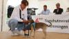 Der Tag der offenen Tür am vergangenen Sonntag im Tierheim Memmingen war ein voller Erfolg. Neben einer WAU-WOW-Schau, der Vorführung von Hunden aus dem Tierheim und einer Vorführung der BRK Rettungshundestaffel, hatten die zahlreichen Besucher auch die Möglichkeit sich einen Einblick in den Alltag der Tierpfleger zu verschaffen. Um die Teilnehmer der WAU-WOW-Schau zu bewerten, waren unter anderem Landrat Alex Eder, Oberbürgermeister Manfred Schilder und der Leiter der Polizeiinspektion Memmingen Joachim Huber in der Jury. 
﻿Finanzierung durch Spenden Das 1970 erbaute Tierheim wird nur durch Spenden, Mitgliedsbeiträgen und Pauschalzahlungen von Stadt und Gemeinden finanziert. Momentan sind im Memminger Tierheim rund 230 Tiere untergebracht, ein Großteil davon sind Katzen. Neben den üblichen Haustieren wie Hunden, Katzen, Mäusen und Vögeln, waren im Tierheim auch schon ein Krokodil, ein Nasenbär und eine Schwarze Witwe zu Gast.