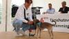 Der Tag der offenen Tür am vergangenen Sonntag im Tierheim Memmingen war ein voller Erfolg. Neben einer WAU-WOW-Schau, der Vorführung von Hunden aus dem Tierheim und einer Vorführung der BRK Rettungshundestaffel, hatten die zahlreichen Besucher auch die Möglichkeit sich einen Einblick in den Alltag der Tierpfleger zu verschaffen. Um die Teilnehmer der WAU-WOW-Schau zu bewerten, waren unter anderem Landrat Alex Eder, Oberbürgermeister Manfred Schilder und der Leiter der Polizeiinspektion Memmingen Joachim Huber in der Jury. 
﻿Finanzierung durch Spenden Das 1970 erbaute Tierheim wird nur durch Spenden, Mitgliedsbeiträgen und Pauschalzahlungen von Stadt und Gemeinden finanziert. Momentan sind im Memminger Tierheim rund 230 Tiere untergebracht, ein Großteil davon sind Katzen. Neben den üblichen Haustieren wie Hunden, Katzen, Mäusen und Vögeln, waren im Tierheim auch schon ein Krokodil, ein Nasenbär und eine Schwarze Witwe zu Gast.