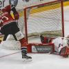 Gestern Abend fand in der Memminger Eissporthalle ein Freundschaftsspiel zwischen dem ECDC Memmingen Indians und dem EC Peiting statt. Die Indians gewannen, unter ihrem neuen Trainer Björn Lidström mit 4:3.
