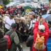 Klein aber fein, war der Viehscheid am Samstagvormittag in Jungholz. Bei strömendem Regen, kamen die Alpe Älpele und die Alpe Stubental zurück ins Tal. Begleitet wurden die Herden von knapp 100 Kühen. Von vielen Einheimischen und auch Urlaubern, wurden die Tiere und ihre Hirtinnen und Hirten im Tal begrüßt.