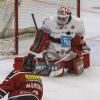 Gestern Abend fand in der Memminger Eissporthalle ein Freundschaftsspiel zwischen dem ECDC Memmingen Indians und dem EC Peiting statt. Die Indians gewannen, unter ihrem neuen Trainer Björn Lidström mit 4:3.