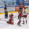 Gestern Abend fand in der Memminger Eissporthalle ein Freundschaftsspiel zwischen dem ECDC Memmingen Indians und dem EC Peiting statt. Die Indians gewannen, unter ihrem neuen Trainer Björn Lidström mit 4:3.