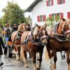 In Seeg fand ein eher kleiner Viehscheid mit rund 80 Tieren statt. Aber auch hier gab es Blasmusik und ein Festzelt. Nach dem Eintreffen am Viehscheidplatz gab es zum Abkühlen der Rinder einen heftigen Wolkenbruch, der den ein oder anderen Zuschauer binnen Sekunden bis auf die Haut durchnässte.
