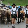 Einer der ersten Viehscheid, fand heute in Oberstaufen statt. 16 Alpen mit mehr als 1.000 Tieren kamen vom Berg ins Tal zurück. Mehrere tausend Besucher waren dazu in Oberstaufen zu Gast und empfingen die Tiere im Tal. Auch Ministerpräsident Markus Söder war vor Ort.
