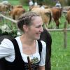 Einer der ersten Viehscheid, fand heute in Oberstaufen statt. 16 Alpen mit mehr als 1.000 Tieren kamen vom Berg ins Tal zurück. Mehrere tausend Besucher waren dazu in Oberstaufen zu Gast und empfingen die Tiere im Tal. Auch Ministerpräsident Markus Söder war vor Ort.