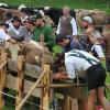 Einer der ersten Viehscheid, fand heute in Oberstaufen statt. 16 Alpen mit mehr als 1.000 Tieren kamen vom Berg ins Tal zurück. Mehrere tausend Besucher waren dazu in Oberstaufen zu Gast und empfingen die Tiere im Tal. Auch Ministerpräsident Markus Söder war vor Ort.